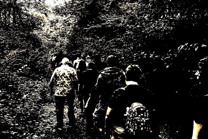 Darkside of Brewing Tour: Tales of Cincinnati's Haunted and Gruesome Past - The abandoned city street overtaken by nature: eerie, but worth seeing
