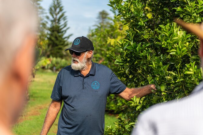 Ghost Tour & Dinner Norfolk Island - Price and group size: value check for $70.29