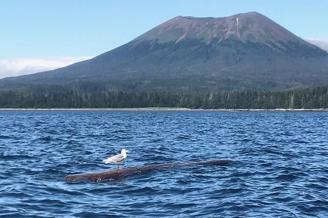 Ghosts of Historic Sitka - Walking Tour - Meeting Point and Route: Easy Start, Easy Finish