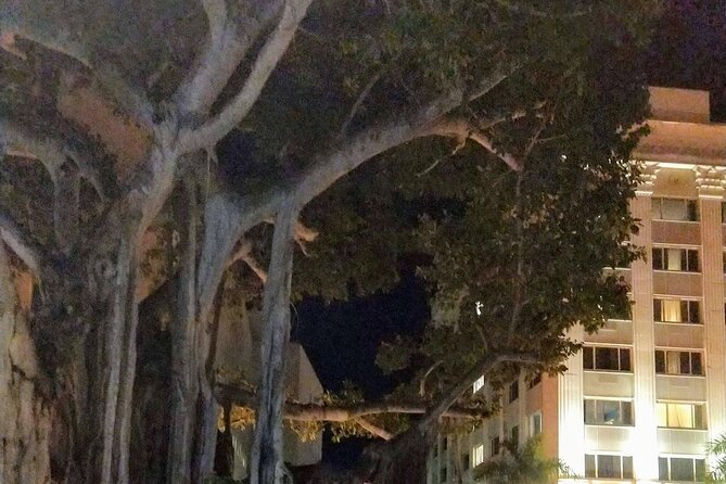 Haunted History of Fort Myers Walking Tour - Photos, spooky instincts, and what to actually expect