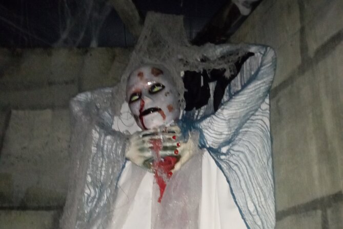 Haunted Mayfield Manor Haunted House Admission - Who This Haunted House Fits Best (And Who Might Not Love It)