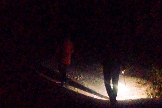 Haunted walk - Lambi Dehar Mines ghost walk: what the experience really feels like