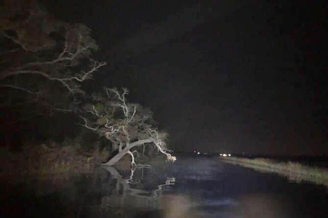 Historical Haunted Bayou Cruise - Wildlife Chances: Blue Herons, Alligators, and Wetland Life