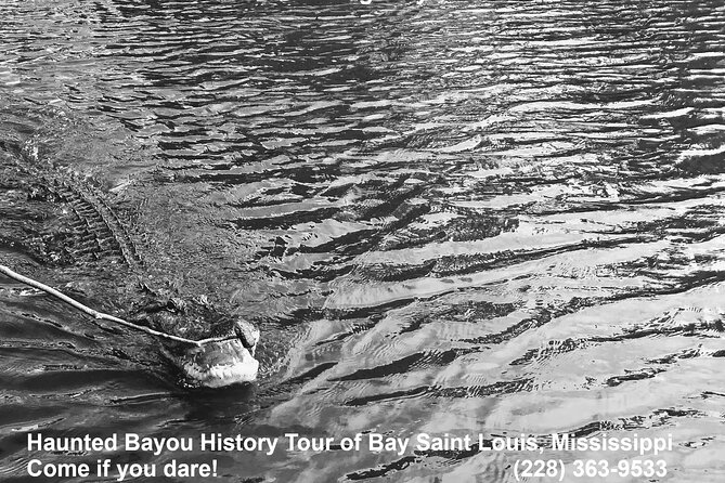 Historical Haunted Bayou Cruise - The Warm Finish: Hot Chocolate and S’mores at the Campsite