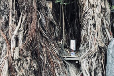 Hoi An Ghosts, Death, Mystery Unveiled - What you’ll learn about death rituals and the living-dead connection