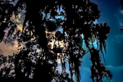 New Orleans Dead of Night Ghosts and Cemetery Bus Tour - Esplanade Avenue stories: where the night feels like theater