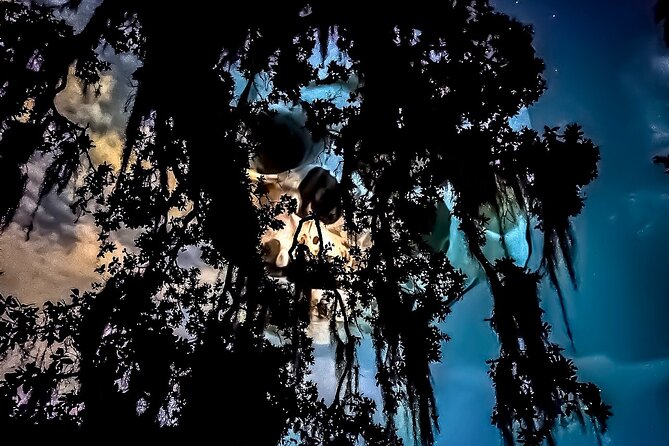 New Orleans Dead of Night Ghosts and Cemetery Bus Tour - Esplanade Avenue stories: where the night feels like theater
