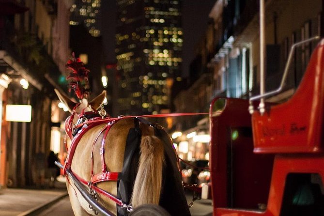 New Orleans Small-Group Haunted History Carriage Tour - Price and value: is $65 for one hour worth it?