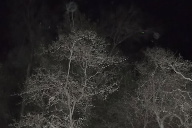 Paranormal Investigation History & Ghost Tour Old Town San Diego - El Campo Santo Cemetery: Where Disturbed Burials Meet Glowing Figure Stories