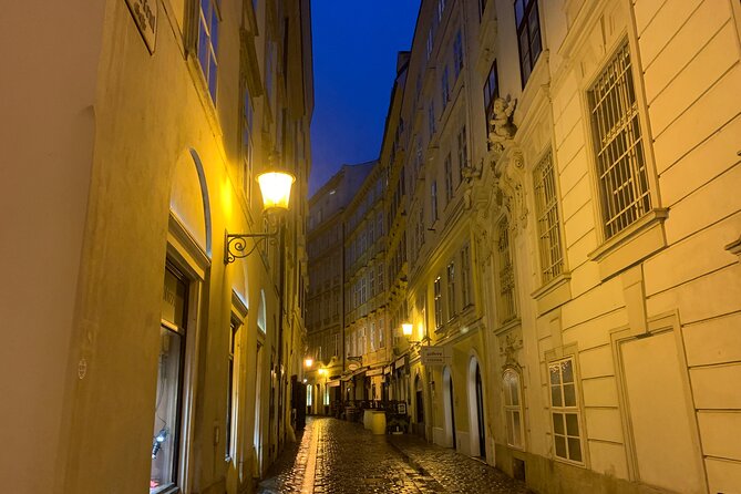 Private Spooky Vienna Ghost Tour - Augustin the Plague Musician and the Human Side of Disease