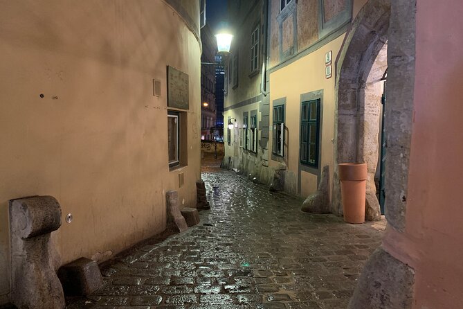 Private Spooky Vienna Ghost Tour - Former Execution Ground and the Medieval Alleys of Legend