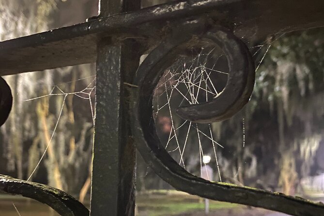 Savannah Ghost Tour for Adults ALL Alcoholic Drinks Included - Meet your guide: why the hosting style matters more than you think