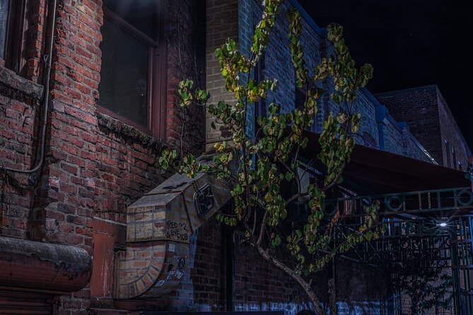 Sinister Sins, Scandal, and Shadows: Seattle Ghost Tour - Seattle’s Booming Economy: How Prosperity Can Leave a Shadow