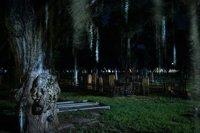 Tides of Tethered Terror: Tampa Ghost Tours - Practical Tips: Tickets, Walking Pace, Pets, and What’s Included