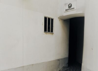 Vienna: German Guided Ghost Tour of Spooky Vienna - The 2-Hour Format: What You Get (and What You Don’t)