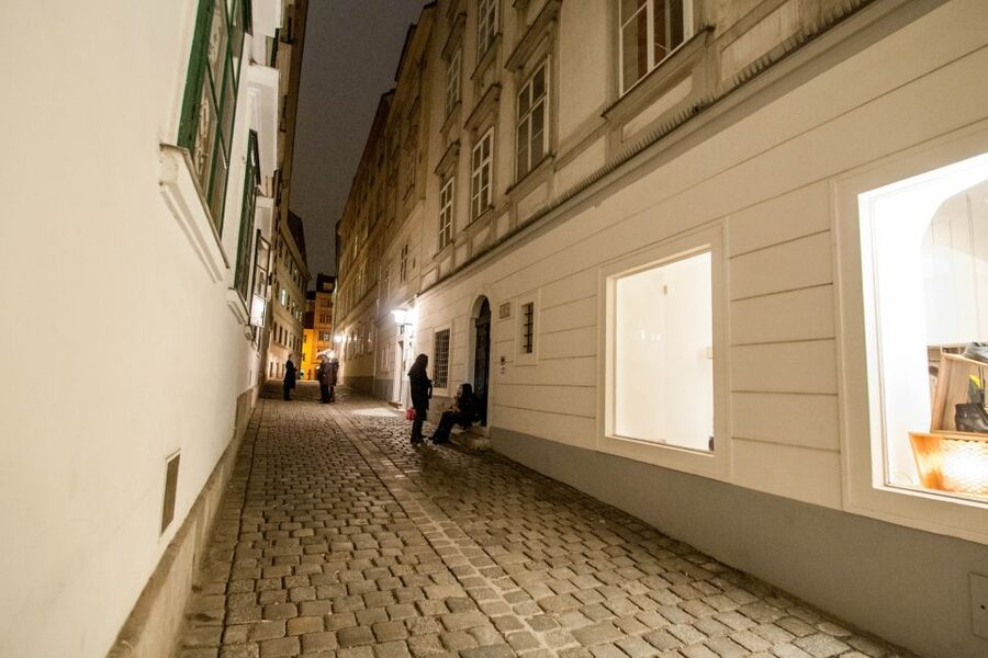 Vienna: Ghosts and Legends Guided Nighttime Walking Tour - Vienna vampires and witches: how Count Dracula gets tied to real folklore