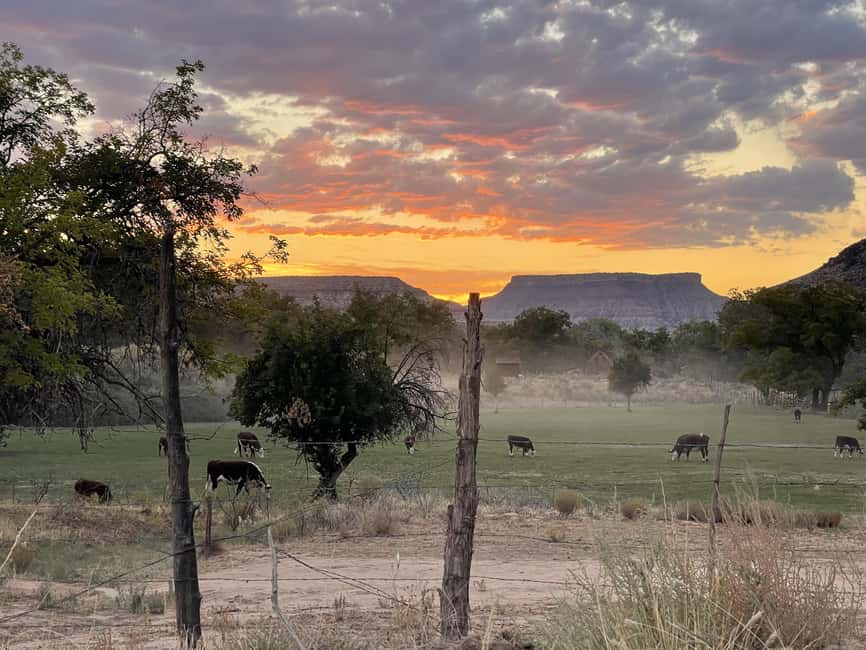 Zion: Harry Potter-Inspired Zion Ghost Tour with Sunset View - Practical tips before you go: shoes, camera, and the cold truth